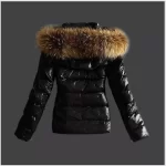 2025 Winter Jackets Women Basic Coats Fashion Faux PU Leather Winter Jackets Women Artificial Fur Collar Coat Female Outerwear - Image 2