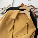 2024 Women's Fashion Autumn New Heavy 30MM 100% Natural Mulberry Silk Long Sleeve Commuter Versatile Retro Windbreaker - Image 3