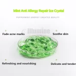 Skin Care Day Cream Mint Anti Allergy Repair Ice Crystal 1000g Repair Acne Recovery Elastic Cosmetics OEM Beauty Salon Equipment - Image 4